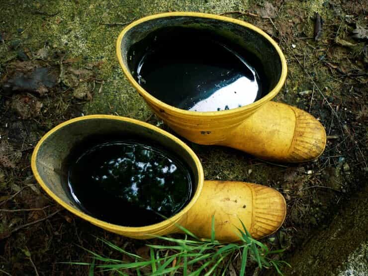 قیمت خرید هیومیک اسید مایع 20 لیتری عمده به صرفه و ارزان